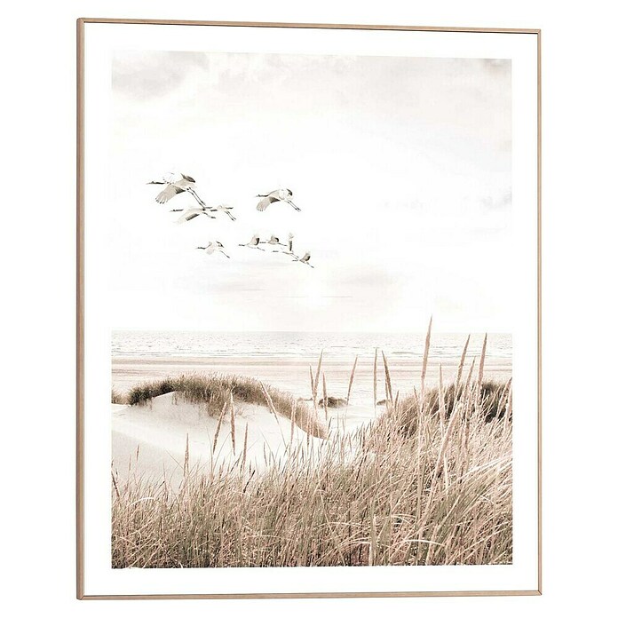 Reinders Bild Slim Frame Wood Botanical Beach B X H 40 X 50 Cm