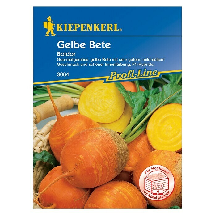 Kiepenkerl Profi Line Gem Sesamen Gelbe Bete Boldor Beta Vulgaris Var