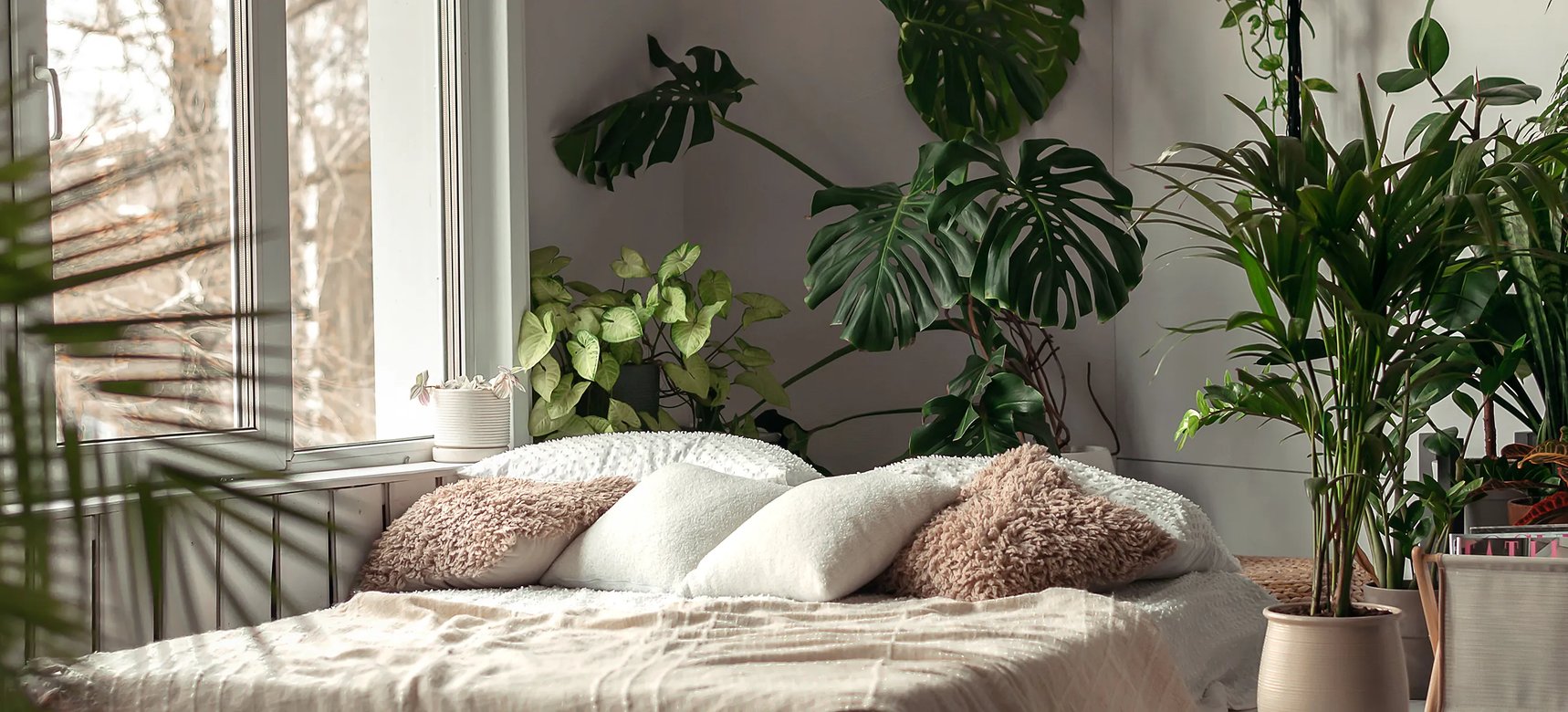 Top 10 Schlafzimmer-Pflanzen fr erholsame Nchte