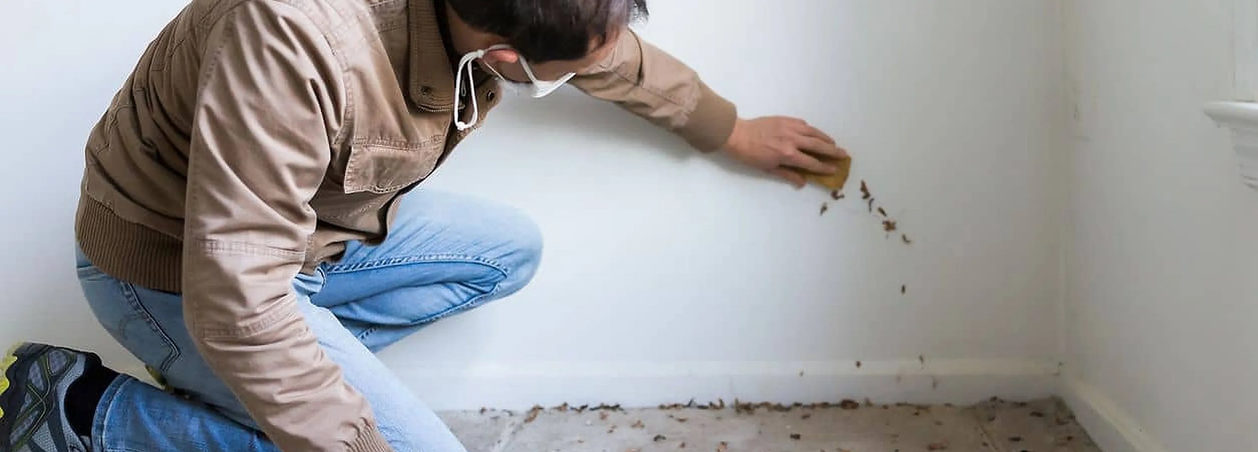 ¿Cómo quitar las humedades de la pared?