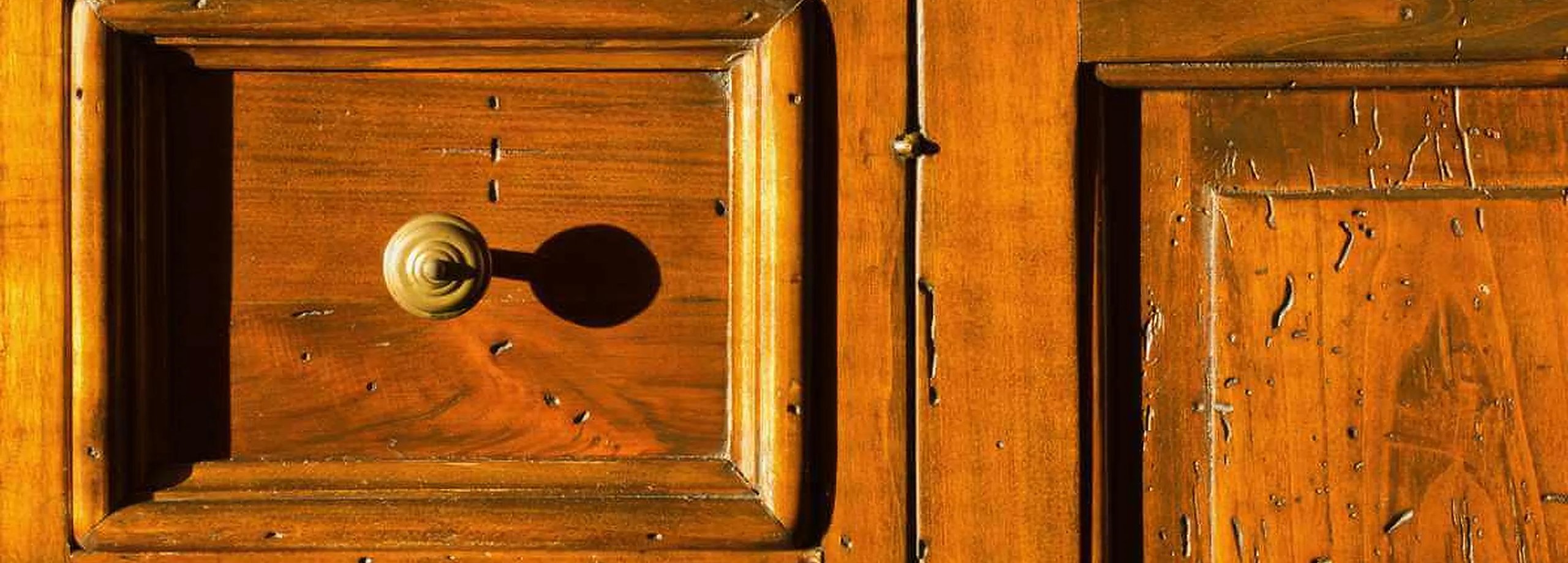 La carcoma de la madera: ¿cómo eliminarla definitivamente?