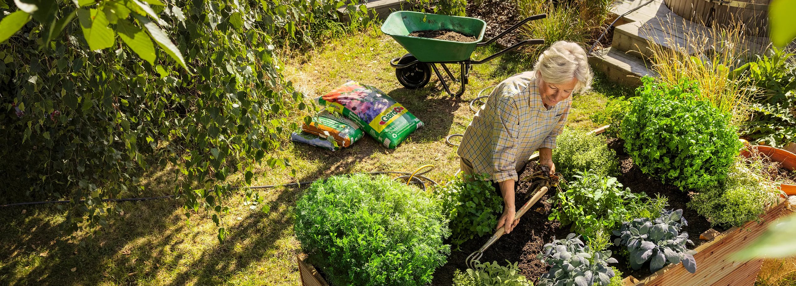 Cuidado del Jardín: Claves para Mantenerlo Sano y Bien Cuidado