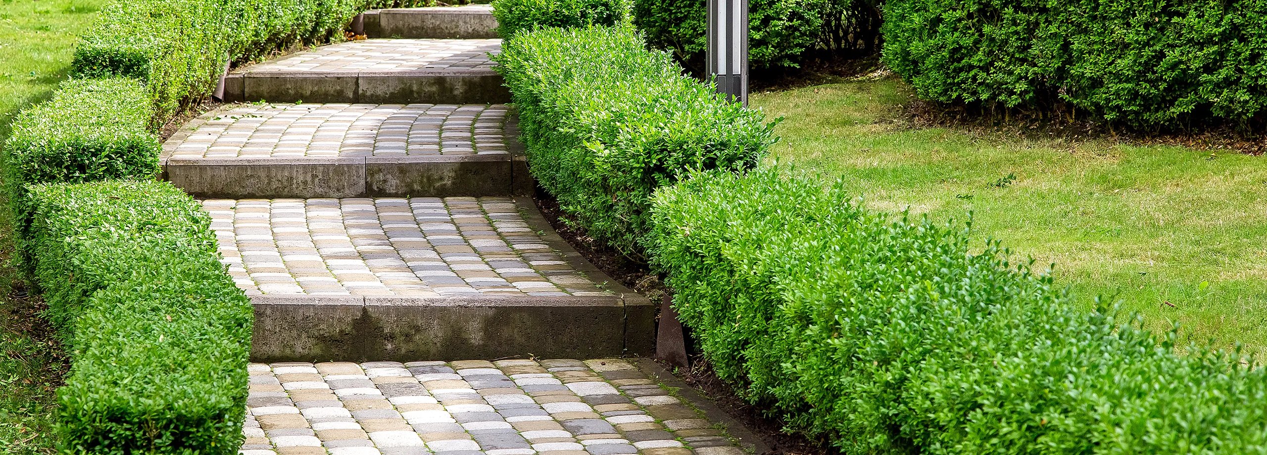 Gartenweg mit Naturstein pflastern