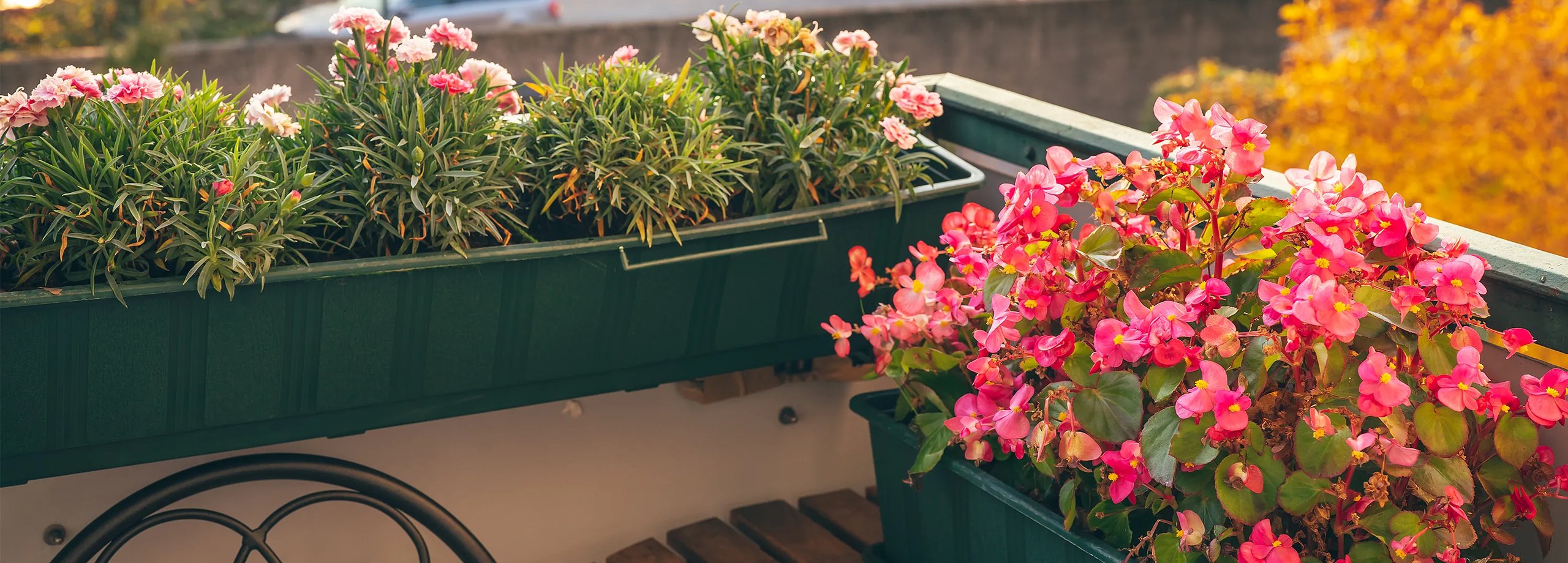 Pflanzen bewssern im Urlaub: Tipps fr den Balkon | BAUHAUS