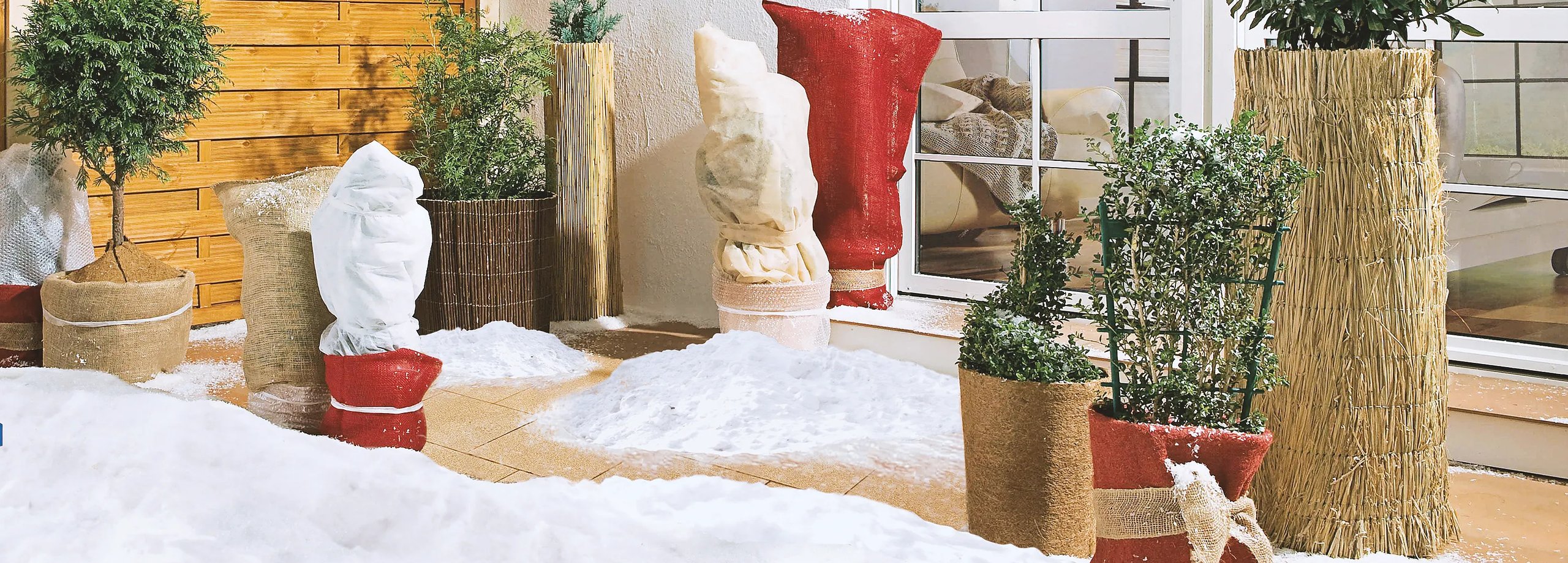 Lot De 2 Protection Des Racines De Palmier,protection Hivernale Pour