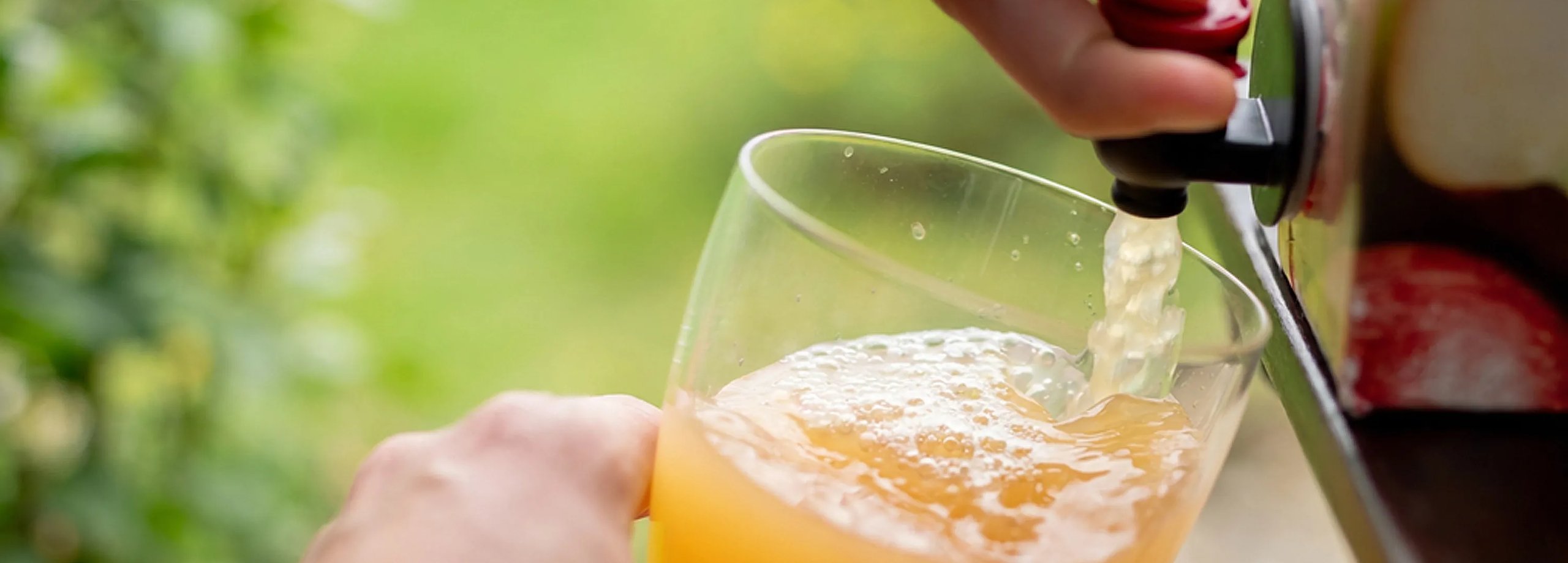 Obstsaft aus dem eigenen Garten