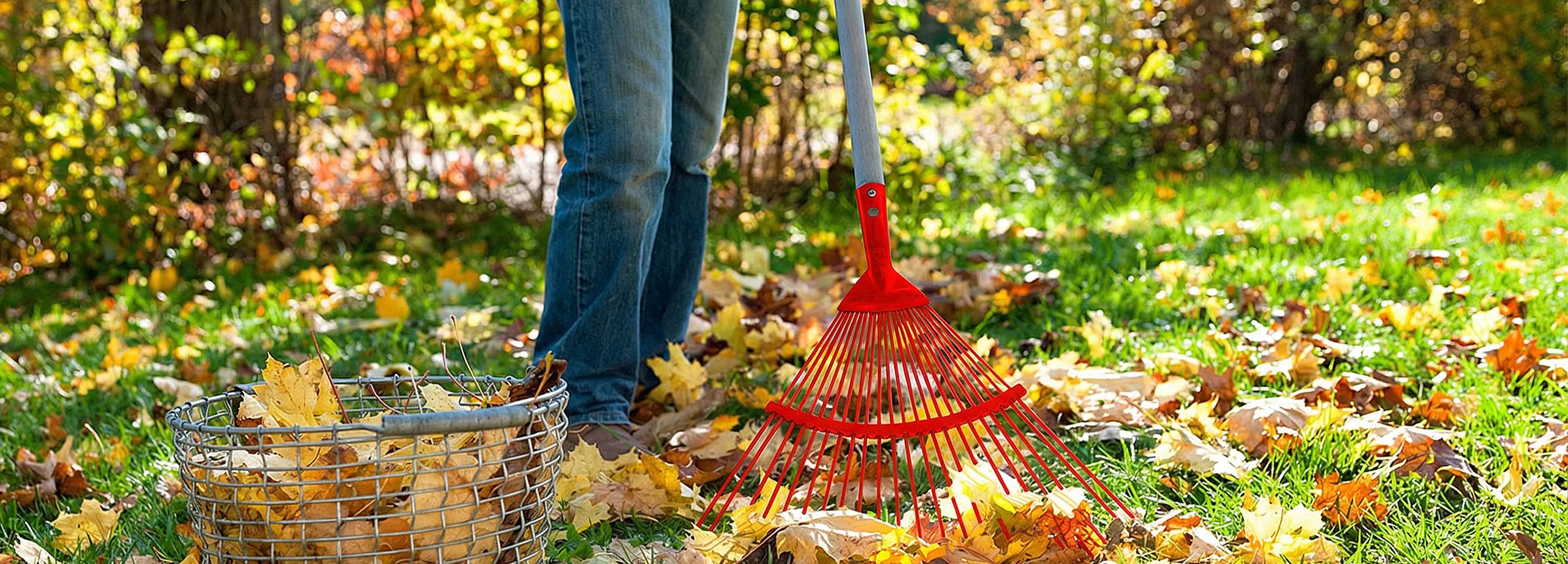 Gartentipps im Oktober