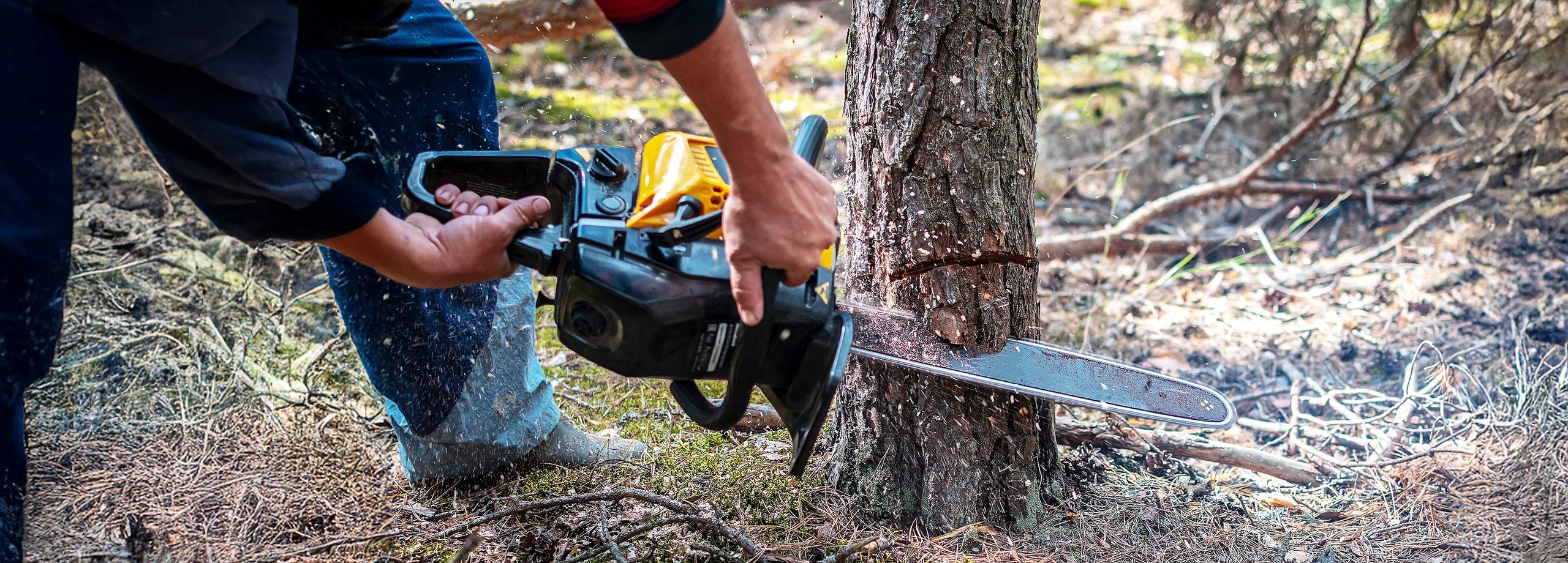 Baum fällen auf einem Privatgrundstück