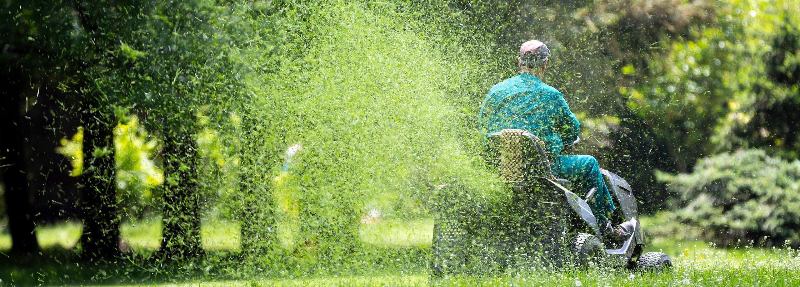 Rasenmähen mit Mulchfunktion
