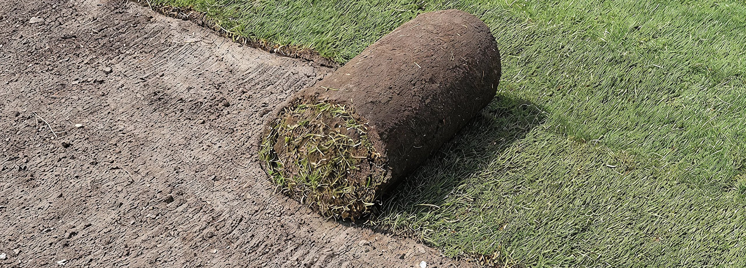 Rollrasen verlegen