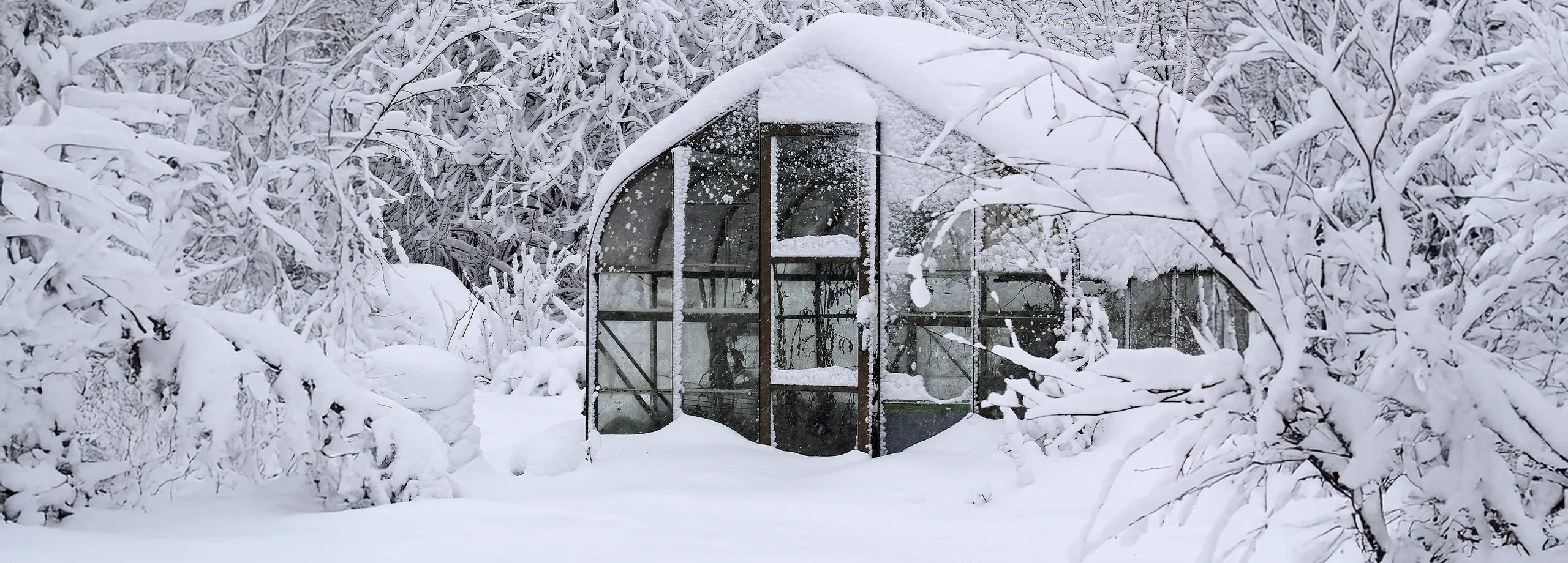 Gewächshaus im Winter