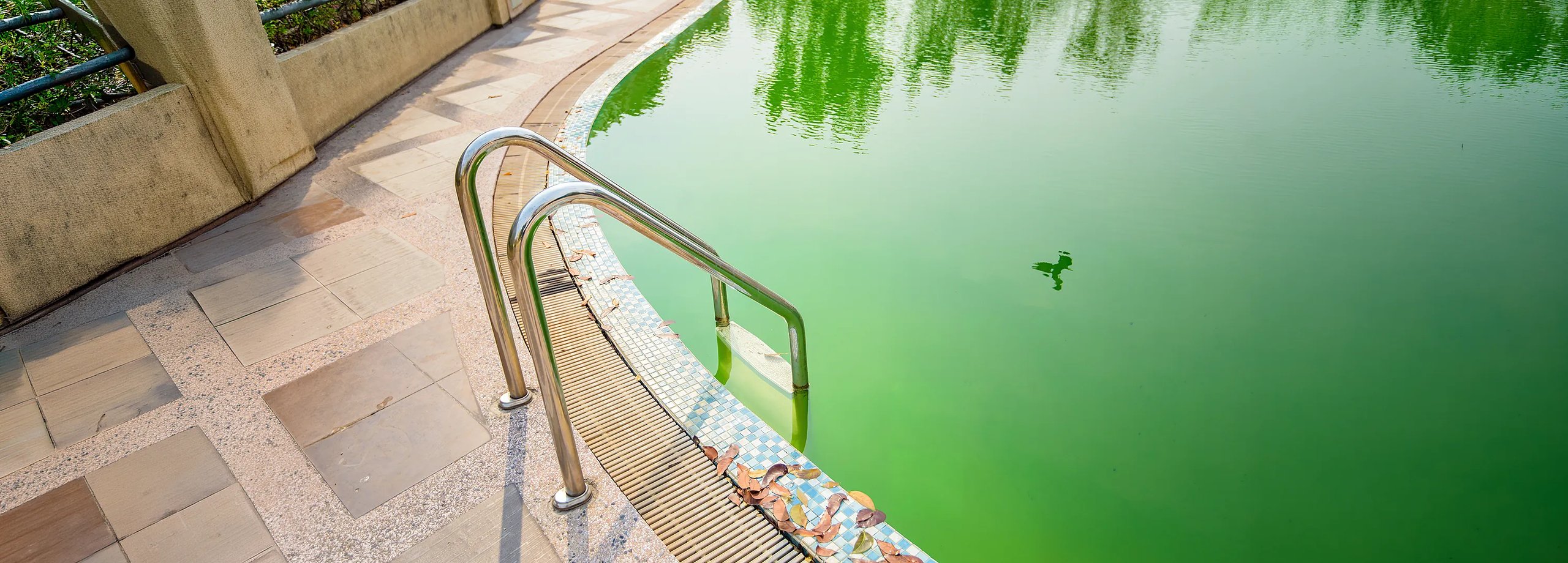 Grünes Poolwasser - was tun?