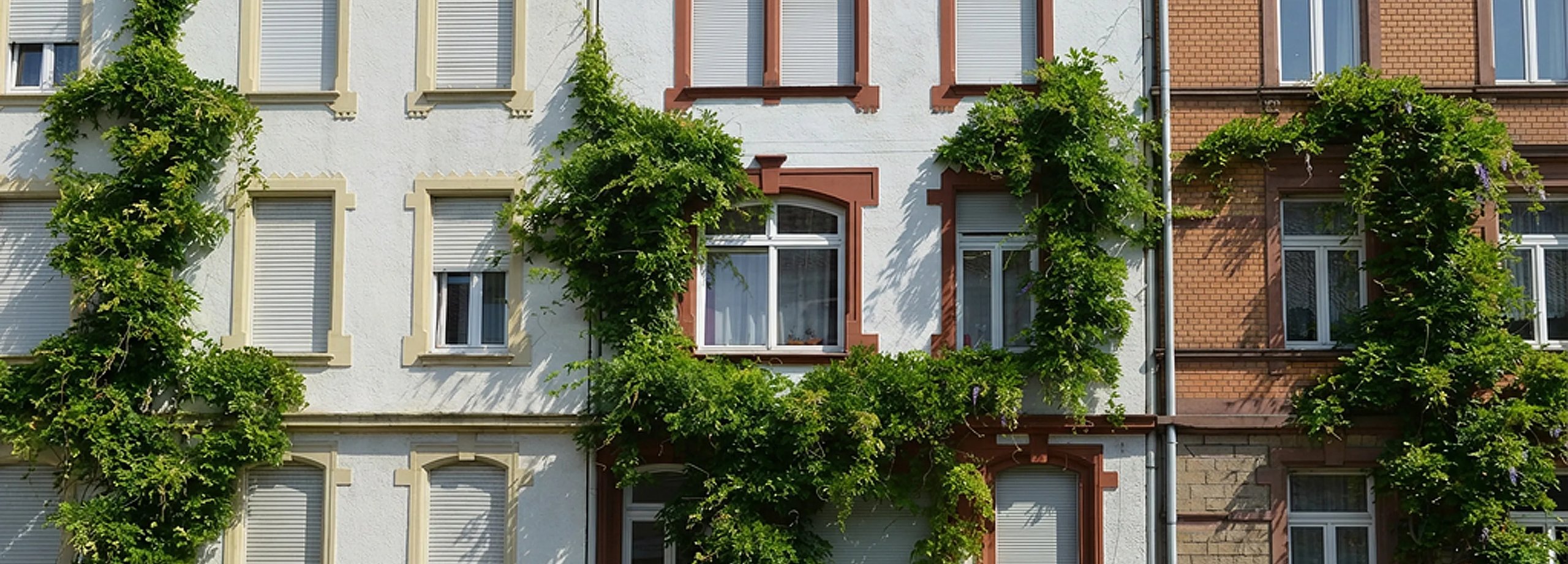 Moderne Fassadenbegrünung