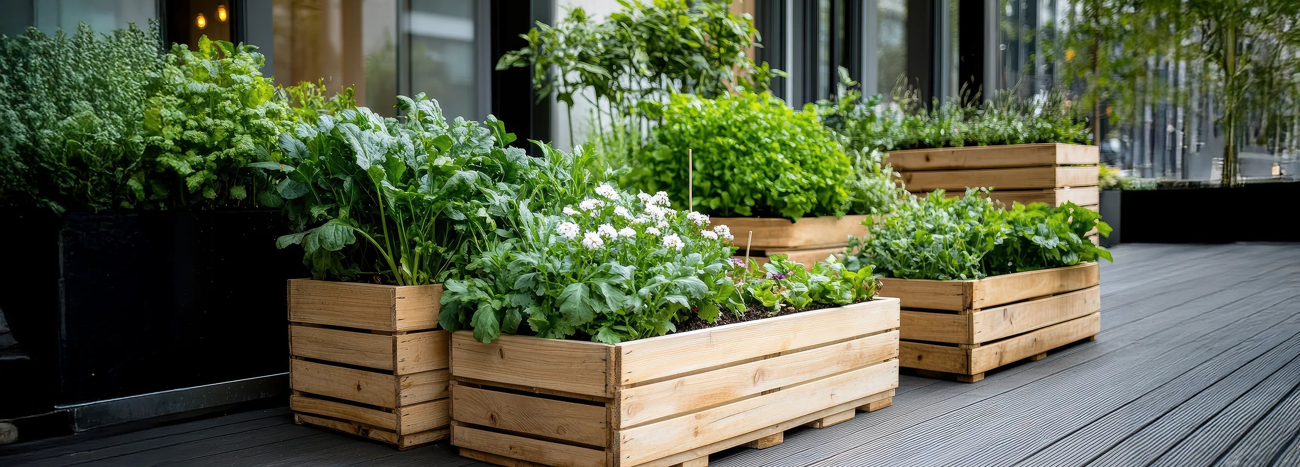 Hochbeet für den Balkon bauen und bepflanzen