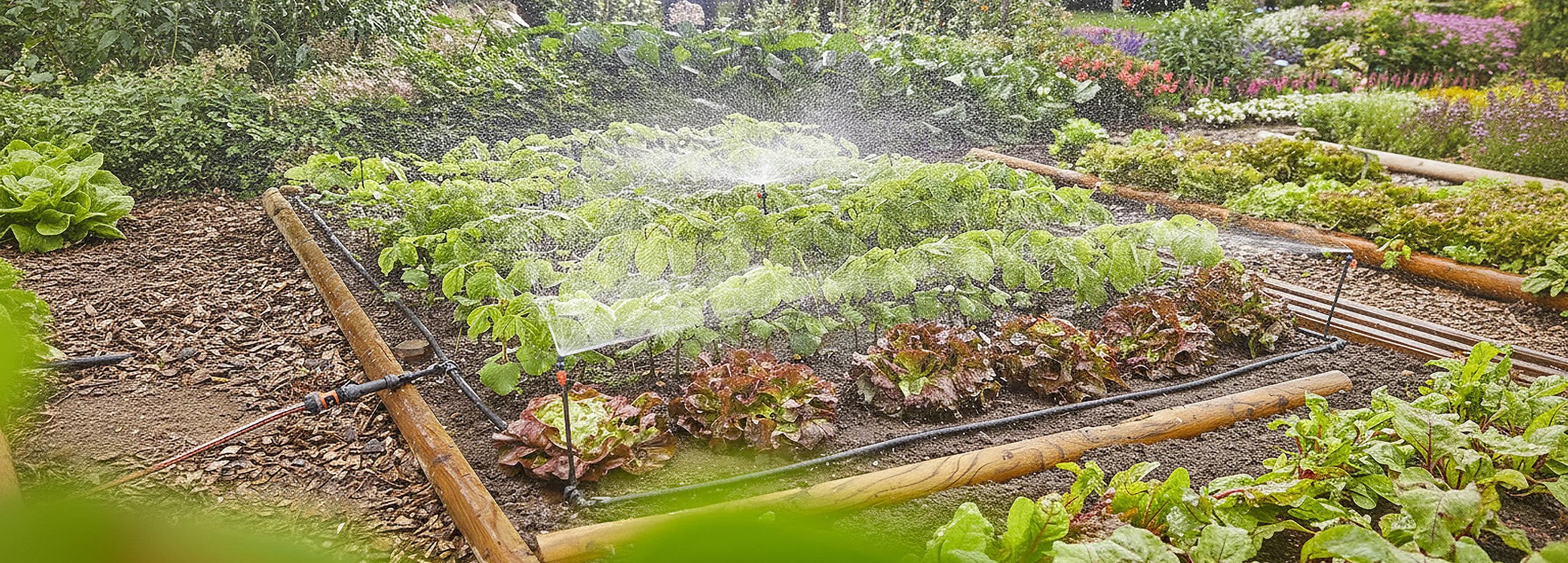 Verschiedene Bodentypen und Anforderungen für den Gemüseanbau