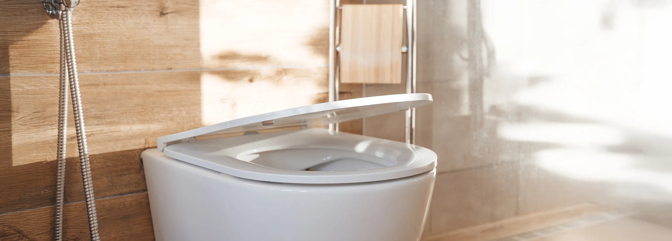 Toilettensitz austauschen