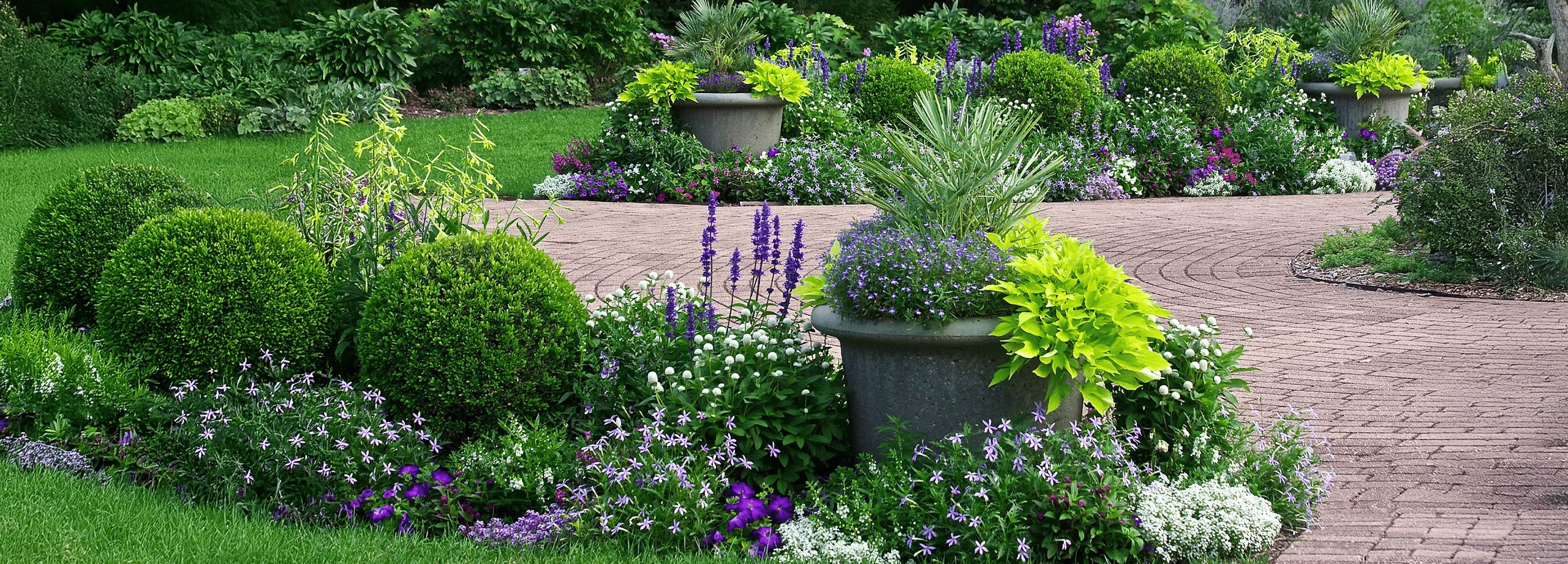 Blumen & Zierpflanzen