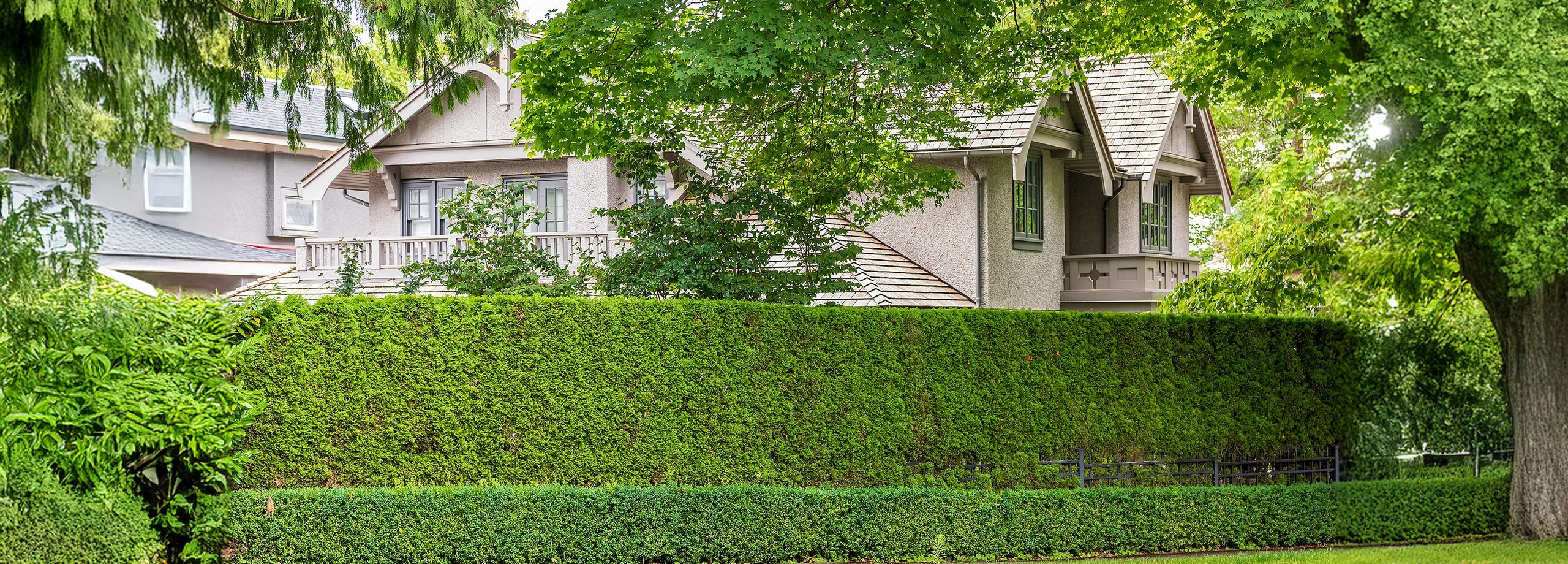 Schnell wachsende Hecke