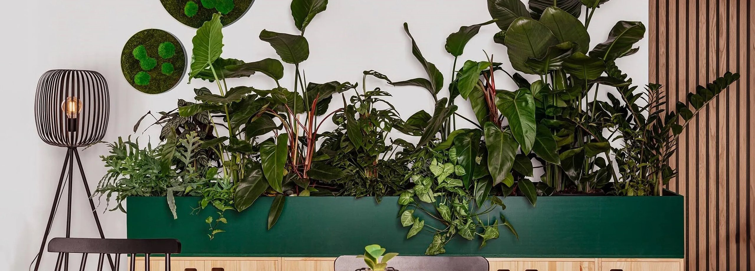Indoor Hochbeet