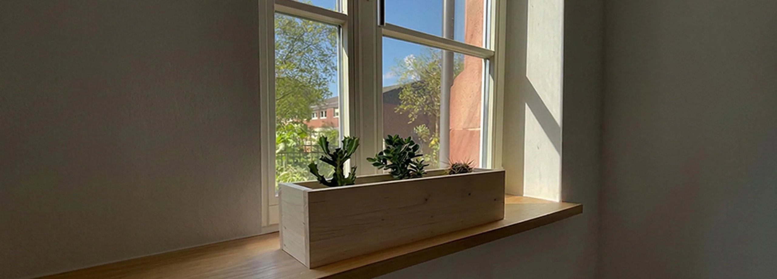 Fensterbank-Oase mit Pflanzen schaffen