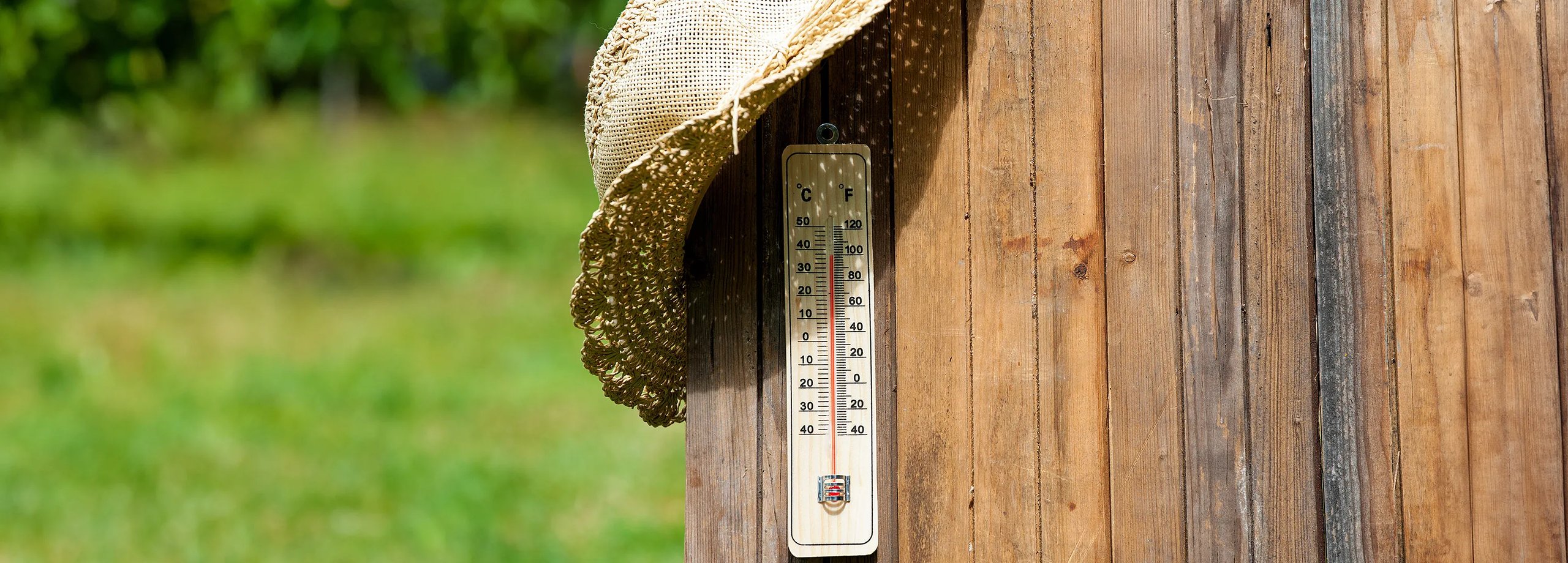 Sommerlicher Hitzeschutz