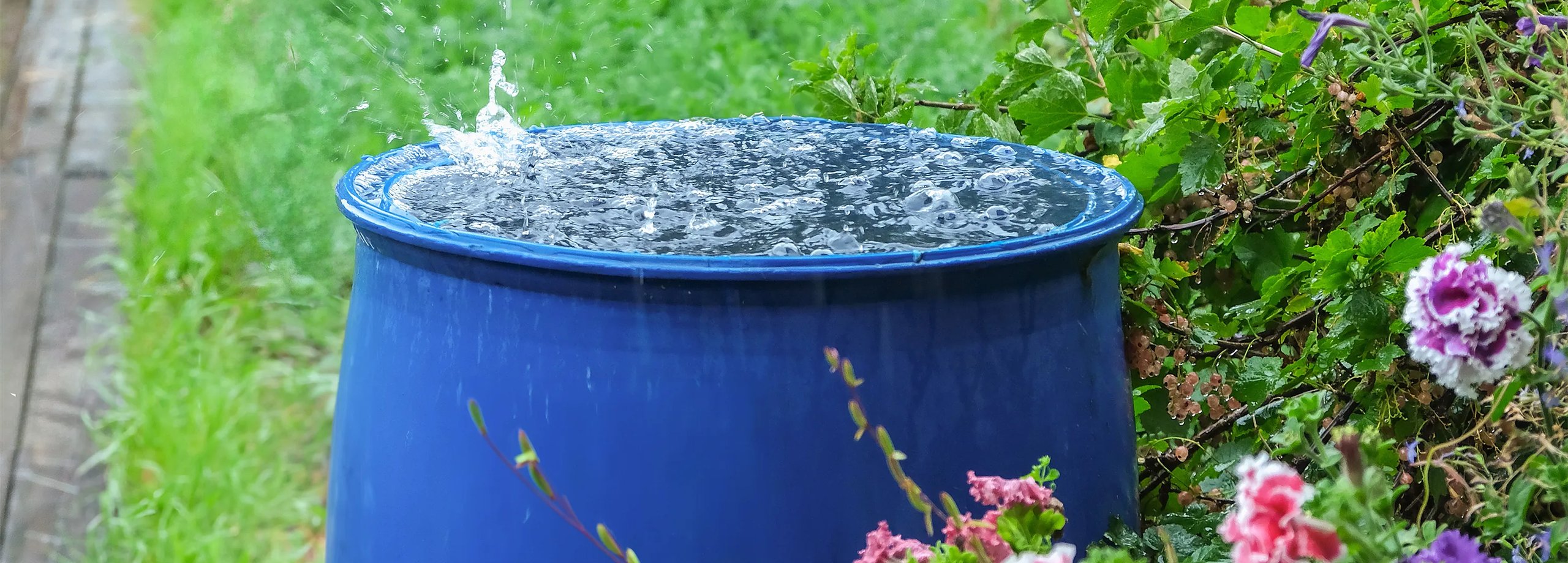 Regenwasser auffangen