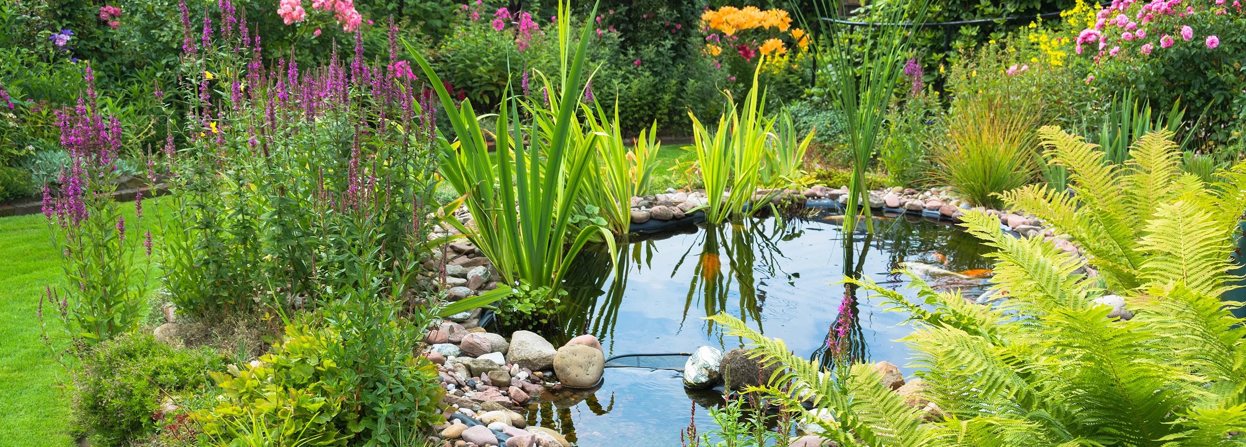 Alles zum Gartenteich für eine idyllische Oase