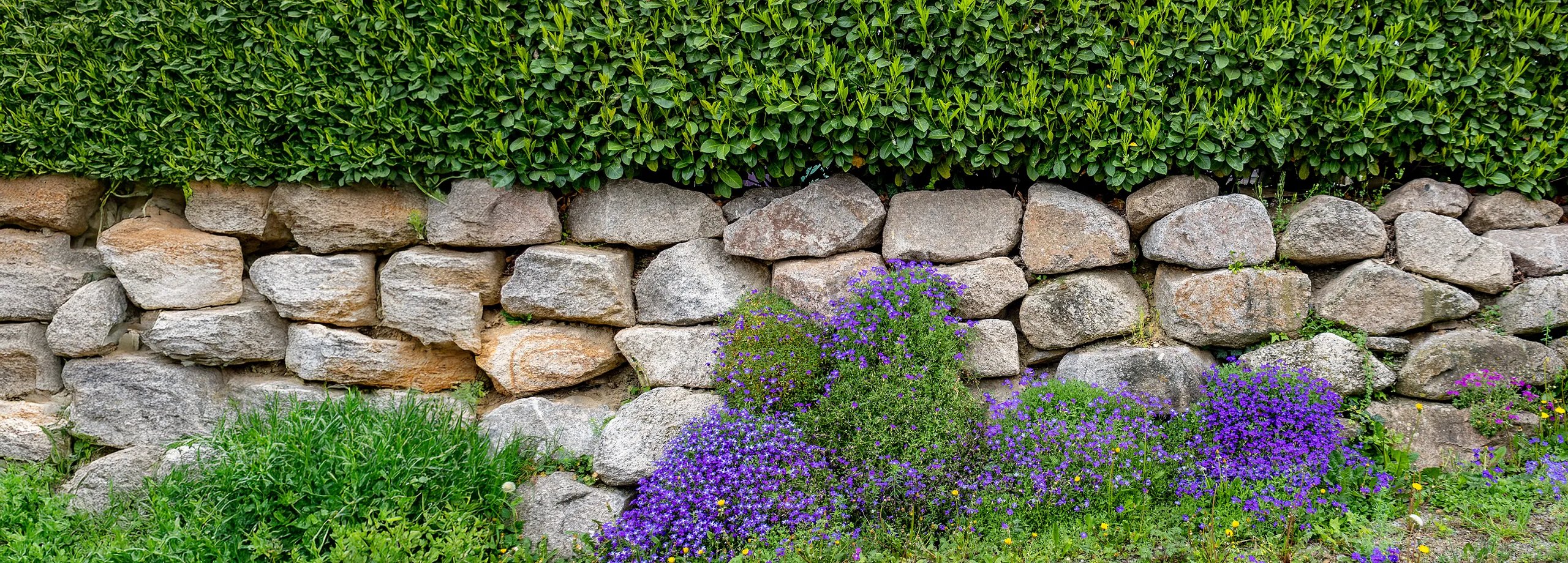 Trockenmauer bauen