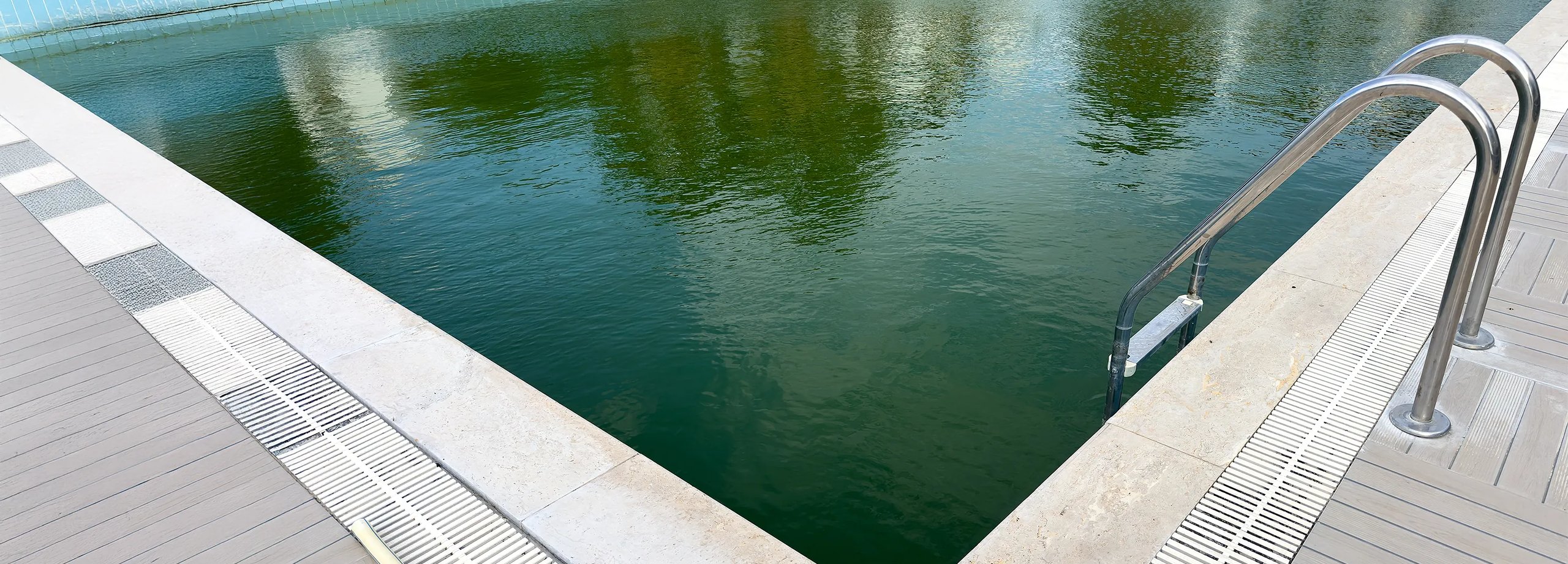 Algen im Pool