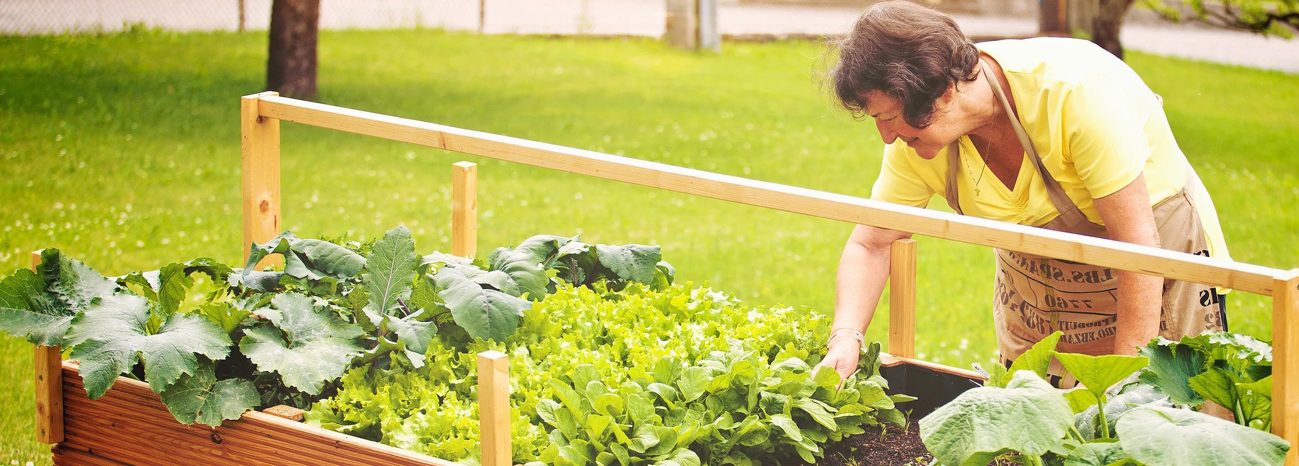Gartentipps im Juni