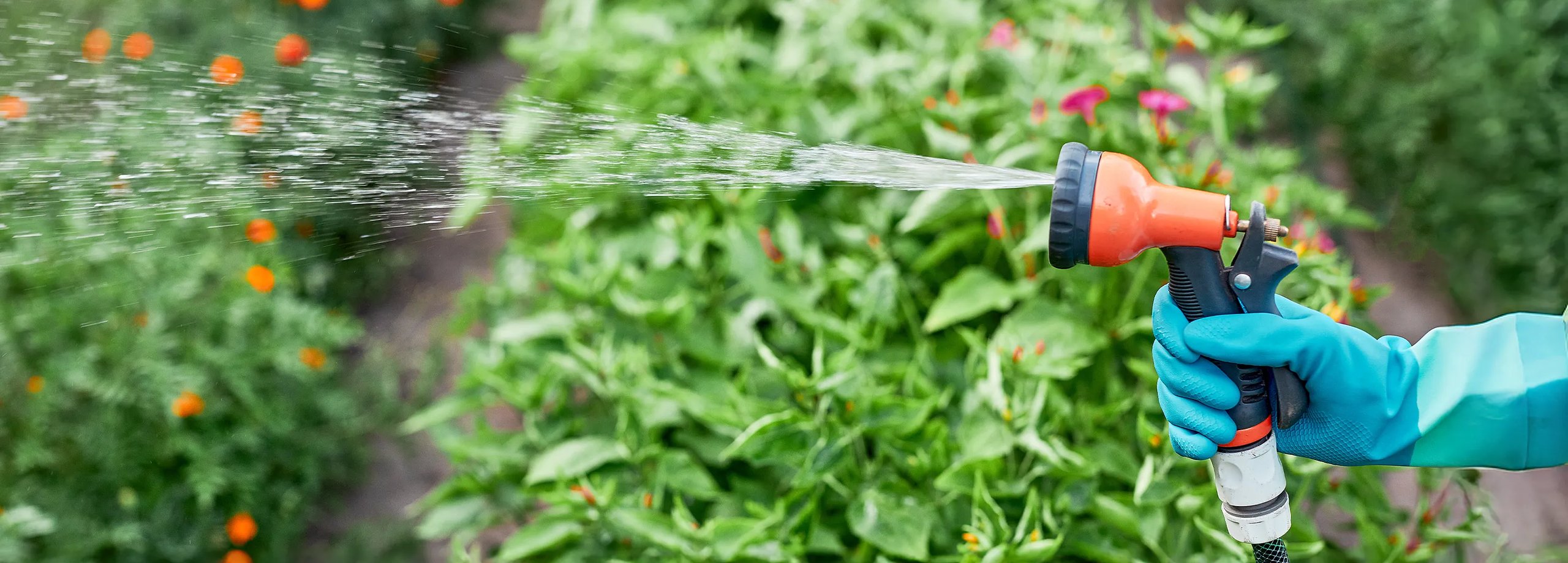 Gartenbewässerung