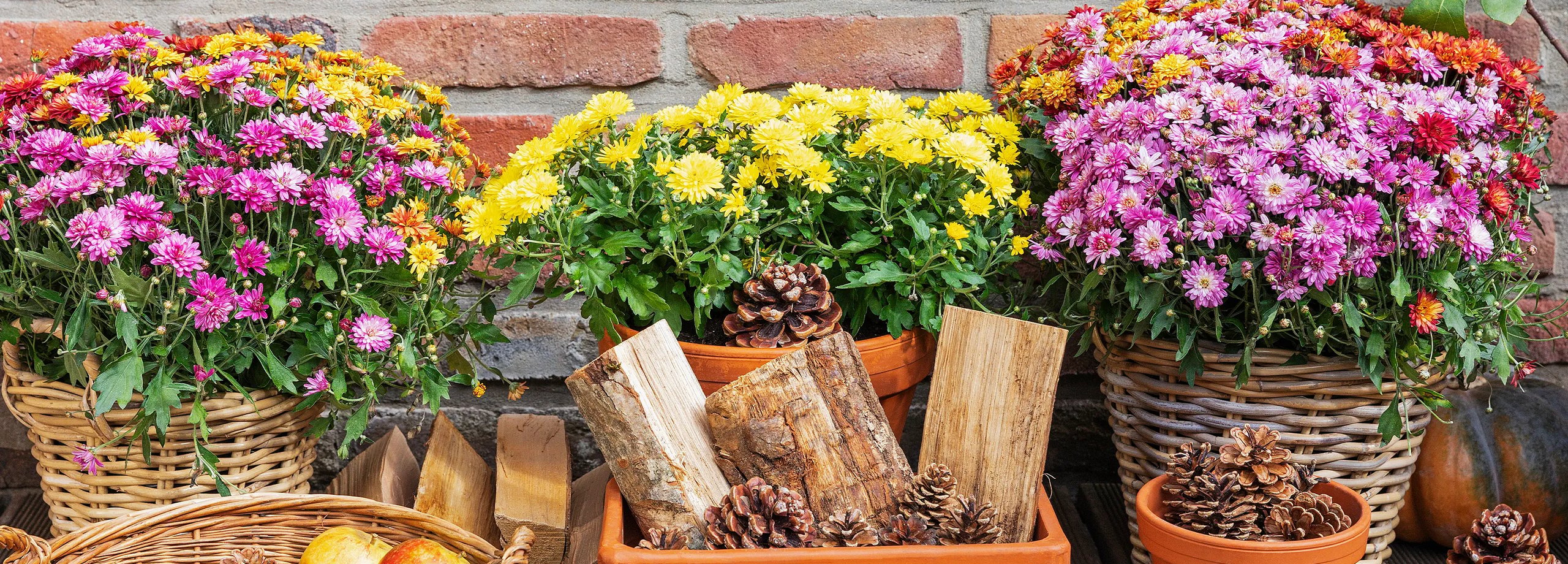 blumenständer gold hoch Blumenständer Set 2 Stück Metall Gold – Pflanzständer modern