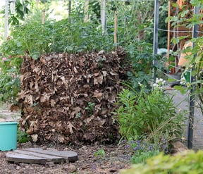 blumenkasten stnder holz Blumenkasten  Riga gro