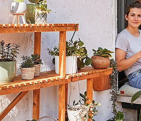 Pflanzenregal selbst bauen – Anleitung & Tipps von BAUHAUS