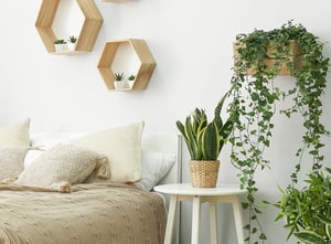 4686389