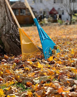 Rasenpflege im Herbst