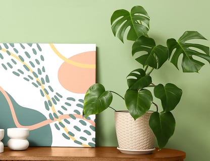 syngonium podophyllum arrowhead plant Arrowhead Plant main image 1