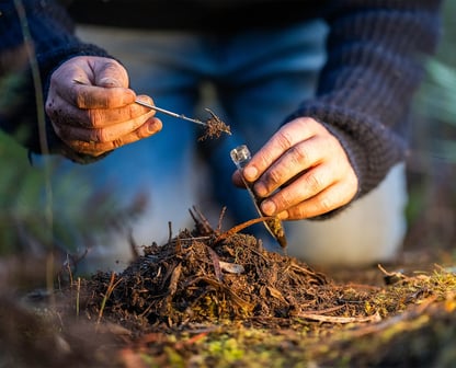 dünger extensive dachbegrünung Gründach-Zubehör Langzeitdünger WaxUp von Re-Natur – FREESE Holz main image 0