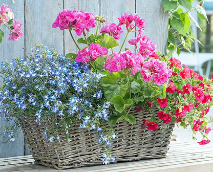 zink balkon blumenkasten Blumentopf Pflanzpot "Antique" Zink Antik Grau 3er Set