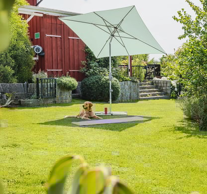 Neuheiten für den Garten