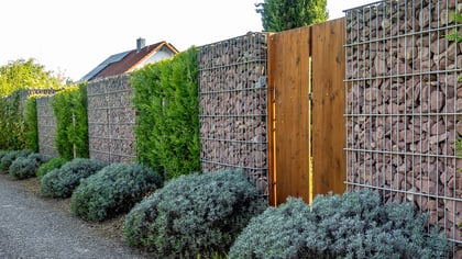 Gabionenmauern mit rotbraunen Steinen und ein Holztor bilden einen stabilen Gartenzaun, gesäumt von grünen Hecken und graugrünen Sträuchern.