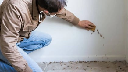 Persona con mascarilla arrodillada, limpiando manchas marrones de una pared blanca con una esponja.
