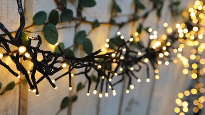 Nahaufnahme einer Lichterkette mit warmweißem Licht, dekoriert an einer Wand mit grünen Pflanzen, ideal für festliche Beleuchtung.