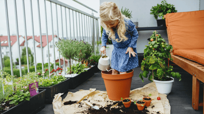 Kleines Kind auf einem Balkon gießt Topfpflanzen und eine Tomatenpflanze mit einer Gießkanne. Gartengeräte und Erde liegen auf dem Boden.