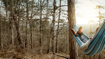 Entspannung in der Natur: Eine Person liegt in einer blau-gestreiften Hängematte, die zwischen Bäumen in einem Wald aufgehängt ist.