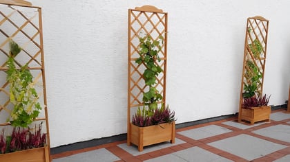 Mehrere hölzerne Pflanzenkübel mit Rankgittern, die mit Pflanzen und Blumen geschmückt sind, vor einer weißen Wand.