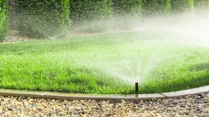 Ein dunkler Versenkregner bewässert einen leuchtend grünen Rasen, feiner Wassersprühnebel ist sichtbar.