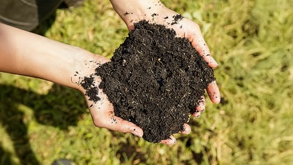 Eine Nahaufnahme von Händen, die eine Handvoll dunkler Erde halten, ideal für die Gartenarbeit und das Pflanzen von Blumen oder Gemüse.