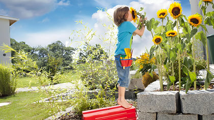 Kind steht auf roter Werkzeugkiste, um Sonnenblume zu riechen, trägt Gartengerätegürtel.