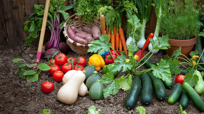 Vielfältige Gemüseernte mit Kartoffeln, Tomaten, Karotten und Zucchini, frisch aus dem Garten, präsentiert auf dunkler Erde.